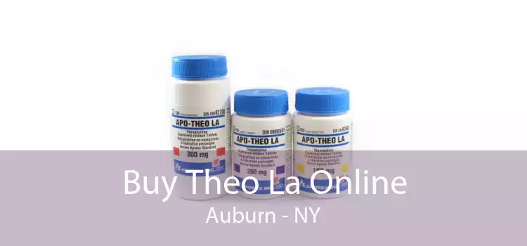 Buy Theo La Online Auburn - NY