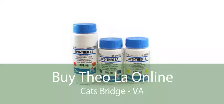 Buy Theo La Online Cats Bridge - VA